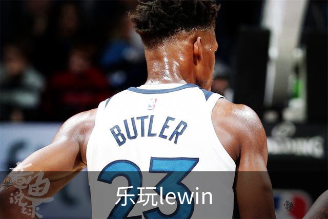 乐玩lewin公司简介